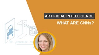 What is a Convolutional Neural Network CNN [upl. by Asirral]
