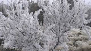 Hoar Frost in the forest [upl. by Missy177]