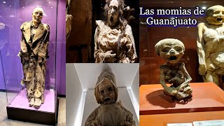 Las Momias de Guanajuato y su impactante historia Museo de las Momias [upl. by Miguelita]