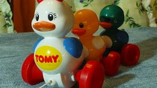 Video for Children Toy Ducks Tomy Pull Along Duck Set for Kiddies Videos [upl. by Laamak]