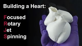 Focused Rotary Jet Spinning for Creating Helical Heart Models [upl. by Gney109]