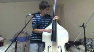 Blink 182  I Miss You Double Bass Cover [upl. by Enomor]