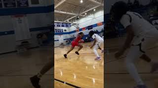 Iso basketball ballislife wnba lsu ncaawbb savagetvuncut nba [upl. by Ahtiekahs355]