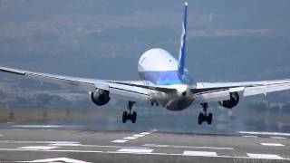 Crosswind Landings of 21 Airplanes at OSAKA Airport [upl. by Mortimer]