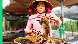 Asia’s SHOCKING Live Animal Market Extreme Food Tour in the Mekong Delta [upl. by Aikan975]