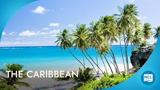 Best Cruises to Caribbean  2025  2026 Cruises  Norwegian Cruise Line [upl. by Rexana]