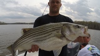 Freshwater Striper fishing Planers and floats With Zakk Royce Kerr lake [upl. by Tuttle]