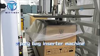 Bag In Box Inserter Machine High Quality Food Packaging Machine [upl. by Maxima326]