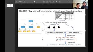 explaining rulefit to cici Fintech Graduate Student [upl. by Oninotna174]