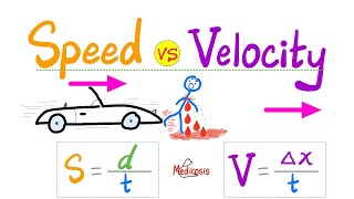 Speed vs Velocity  Distance vs Displacement  Average velocity instantaneous velocity  Physics [upl. by Whiney]