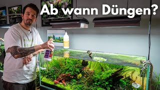 Ab wann sollte man sein Aquarium Düngen  Liquid Nature [upl. by Goldina350]