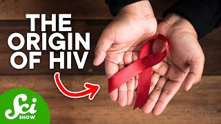 How HIV First Started in Humans [upl. by Offen]