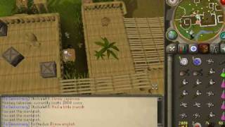 RuneScape  PreEOC  GreeGree Making 101 [upl. by Arikat]