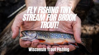 Fly Fishing TINY Stream For Brook Trout [upl. by Rudd]