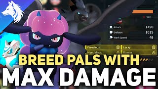 Breeding The STRONGEST Pal With 4 Highest ATTACK TRAITS 1500 DAMAGE [upl. by Gal]