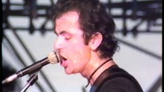 The Stranglers  Peaches Live at Battersea Park 16091978 [upl. by Yroj]