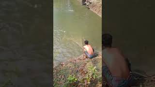 new fish farming video a man catching fish with net fishing fish fishfarming newsong shorts lo [upl. by Allie]