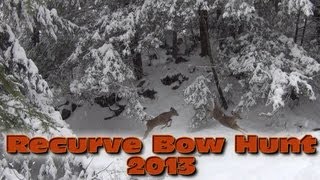 3 YARDS  Recurve Bow Deer Hunting 2013  Shane [upl. by Treblig850]