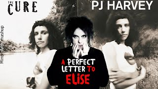 PJ Harvey amp The Cure  A Perfect Letter To Elise  Minor Arth mashup [upl. by Dewain986]