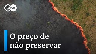 Documentário  As cientistas da Amazônia  Parte 2 [upl. by Innavoeg613]