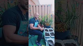 How To Grow A Vegetable Garden [upl. by Neelear]