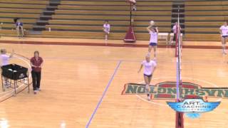 Setters Transition Training with Christy JohnsonLynch [upl. by Nathalia616]