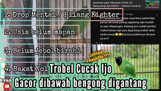 CUCAK IJO Suka PHP begini pengalaman saya [upl. by Normak]