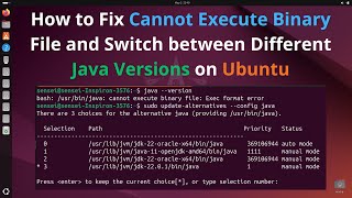 How to Fix Cannot Execute Binary File and Switch between Different Java Versions on Ubuntu [upl. by Akiehsal953]