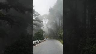 mirik mirikroad  mirik tour darjeelingdiaries beastforbikeriding bikeroadtrip [upl. by Tichon]