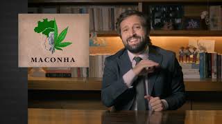 GREG NEWS  MACONHA [upl. by Rianon301]