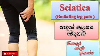 Sciatica පාදයේ ගලායන වේදනාව how it happens causes symptoms treatments how to prevent [upl. by Forward]