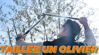 COMMENT TAILLER VOTRE OLIVIER [upl. by Suanne]