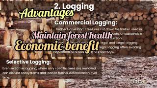 3 Deforestation Causes । Deforestation vs Logging । Amandeep Gill [upl. by Sardella]