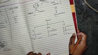 fluruquinolone part 1 katzung pharma chemopharma [upl. by Nimzzaj]