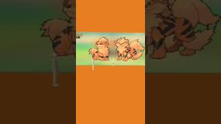 Wow its the Growlithe and Arcanine selfie wall [upl. by Eirol593]