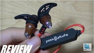 REVIEW Symphonized NRGW 20 Wood Bluetooth Earphones [upl. by Uella]