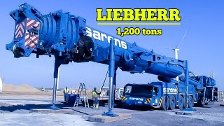 Liebherr LTM 1120091  SPECS OF LTM 1120091 liebherr crane mobilecrane [upl. by Honig]