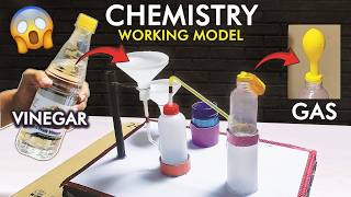 How to make Chemistry Working Model  Gas Evolving Reaction creative schoolproject class12 [upl. by Herb]