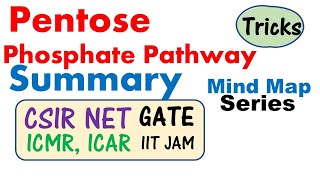 Pentose phosphate pathway biochemistry [upl. by Notneuq384]