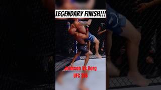 Demetrious Johnson FLYING ARMBAR against Ray Borg mma ufc [upl. by Godderd]