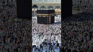 Kaaba Live🔴 Today  12 November 2024  tawafekaaba kaabalive ytshorts original makkahofficial [upl. by Stuart]