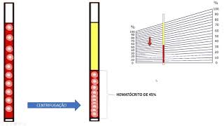 Derterminação do microhematócrito em 45 segundos [upl. by Morris]