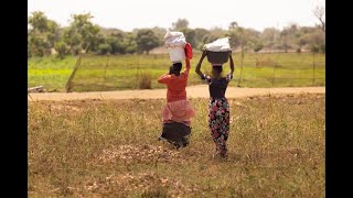 Robuuste voedselketens Europas nieuwe antiwegkijkwet eerlijke handel en ontwikkeling in Afrika [upl. by Meean403]