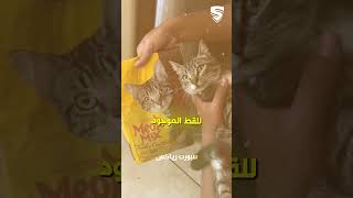 اكتشف أنه يعيش مع شخصية مشهورة 😂 chrislara5702 [upl. by Adnaugal957]