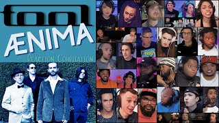 REACTION COMPILATION  Tool  Ænima Aenima  FIRST TIME HEARING Mashup [upl. by Odrautse121]