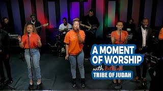 MOMENT OF WORSHIP JESUS I LOVE YOU  TRIBE OF JUDAH  ECG [upl. by Tommie]