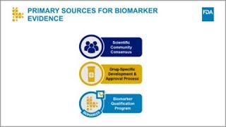 Pathways for Using Biomarkers in Drug Development [upl. by Arraeis]