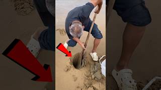 You Wont Believe What He Found Buried in the Sand shorts [upl. by Adoree]