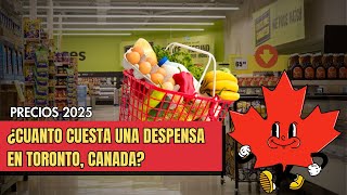 Esto pagamos por nuestra DESPENSA en TORONTO  Precios reales en SUPERMERCADOS [upl. by Syned465]