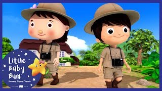 Going For a Lion Hunt  More  Little Baby Boogie  LBB  Nursery Rhymes For Babies [upl. by Fafa432]